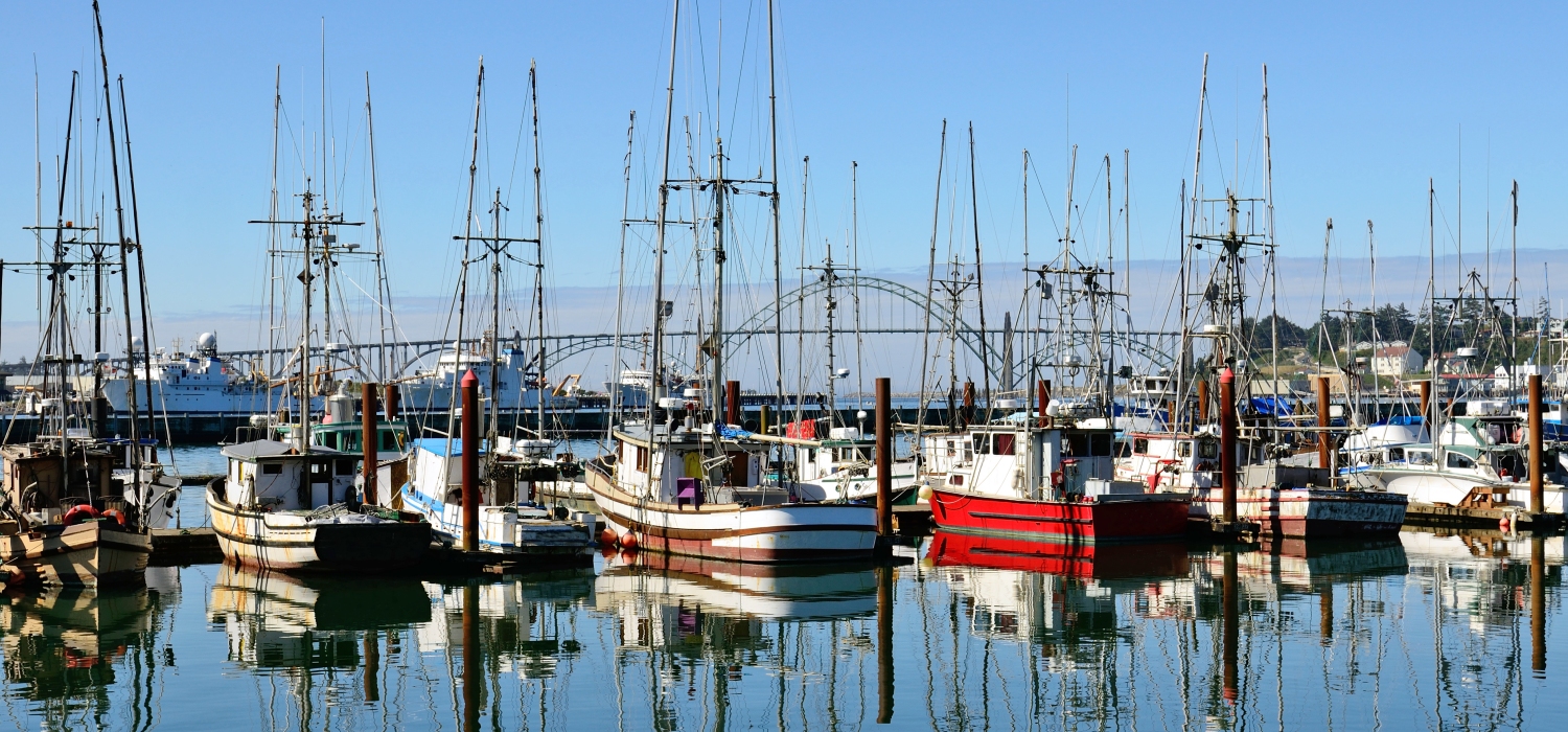 REVEL AT THE  PICTURESQUE SIGHTS IN NEWPORT, OREGON